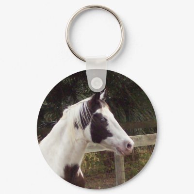 chief key chain by gibbybeth