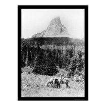 Chief Mountain from Glacier National Park 1925 posters by lc_vintagephotos Chief Mountain from Glacier National Park 1925 posters