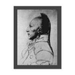 Chief of the Little Osages Postcards Chief of the Little Osages Postcards