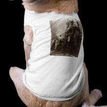 Chief Sitting Bull - Vintage pet clothing
