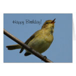 ChiffChaff Happy Birthday Card