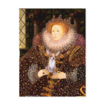Chihuahua 1 - Queen Post Card