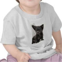 chihuahua-23.jpg camiseta