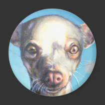 Chihuahua 2 Magnet