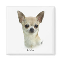 Chihuahua  9P93D-123_2 magnets