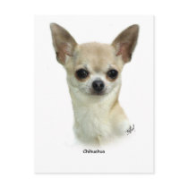 Chihuahua  9P93D-123_2 postcards