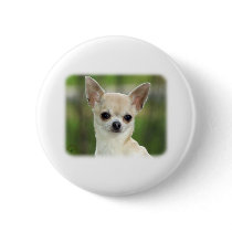 Chihuahua 9P93D-123 buttons by TraffordPhotos Chihuahua 9P93D-123 buttons