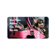 Chihuahua Address Labels