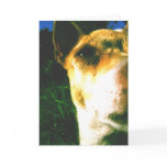 Chihuahua Affections Greeting Card