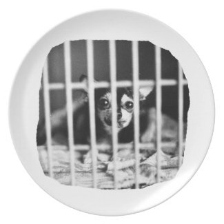 chihuahua Black and White Behind cage Bars plate