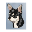 postcard - Chihuahua Black & Tan Postcard by Kathe 
Hinderliter / Kandee K-9 Designs.  Inspired 
by one of the lovely Chihuahuas owned by 
Katie Greer / Ktg Chihuahuas.