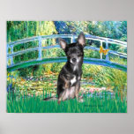 Chihuahua (blue-cream) - Lily PondBridge Poster