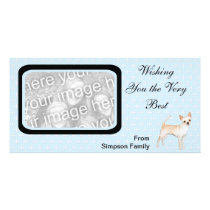 Chihuahua ~ Blue w/ White Diamonds Design Picture Card