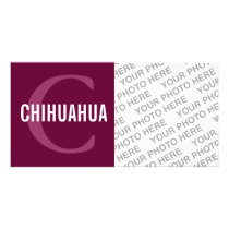 Chihuahua Breed Monogram Design Photo Card Template