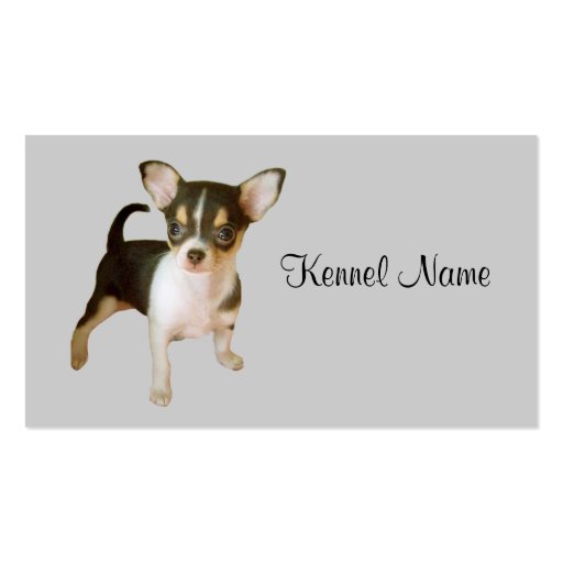 Chihuahua Breeder Business Card (front side)