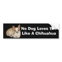 Chihuahua Bumper Sticker bumper stickers