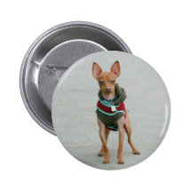 Chihuahua Button