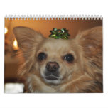 Chihuahua Calendarios