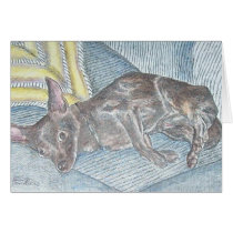 chihuahua cards