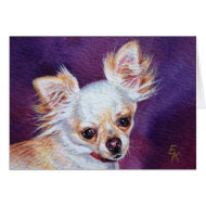 Chihuahua card