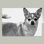 Chihuahua cards
