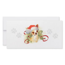 Chihuahua Christmas Photo Cards photo cards