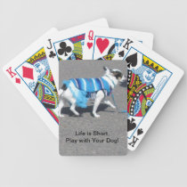 Chihuahua Cinco de Mayo Deck playing cards