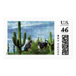 Chihuahua Country 1 Postage Stamp