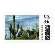 Chihuahua Country 1 Postage Stamp