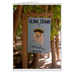 Chihuahua Crossing in Belize Cards