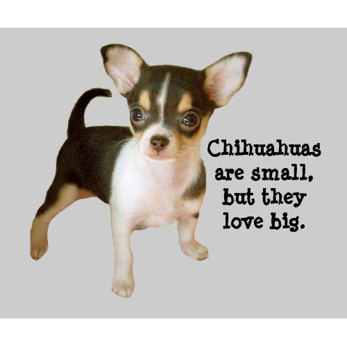 Chihuahua Cutie Mousepad mousepad