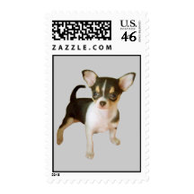 Chihuahua Cutie Postage Stamp