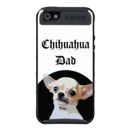 Chihuahua Dad dog
