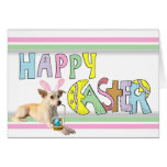 Chihuahua de Pascua Felicitacion