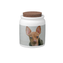 Chihuahua dog candy jar