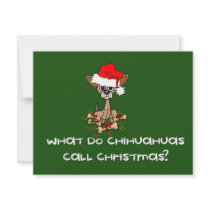 Chihuahua Dog Christmas invitations