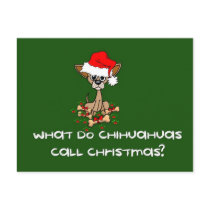 Chihuahua Dog Christmas postcards by orsobear Chihuahua Dog Christmas postcards