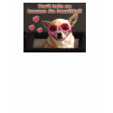 Chihuahua dog -Don't hate because I'm beautiful! t-shirts
