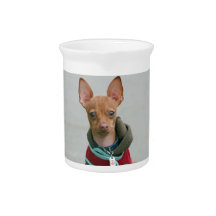 Chihuahua dog drink pitchers