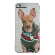 Chihuahua dog iPhone 6 case