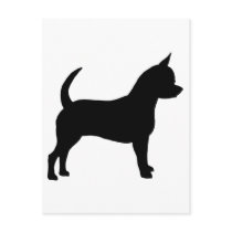 Chihuahua Dog postcards