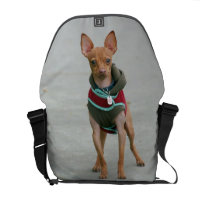 Chihuahua dog rickshaw messenger bag