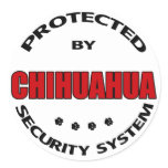 Chihuahua Dog Security Sticker