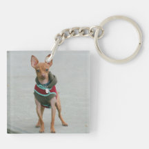 Chihuahua dog square acrylic keychains