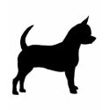 Chihuahua Dog t-shirts