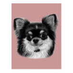 Chihuahua Drawing postcards