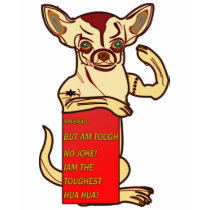 Chihuahua Evolution Fittest Huahua t-shirts