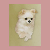 Chihuahua Fawn Puppy Postcard by KandeeK9Designs Chihuahua Fawn Puppy Postcard