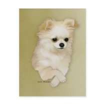 Chihuahua Fawn Puppy Postcard by KandeeK9Designs Chihuahua Fawn Puppy Postcard