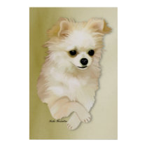 Chihuahua Fawn Puppy Poster posters